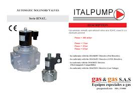 VAN GAS ITALPUMP